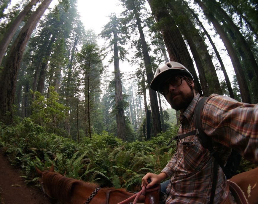 redwood national park horse rides