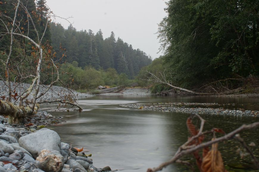 redwood creek trail, redwood national park