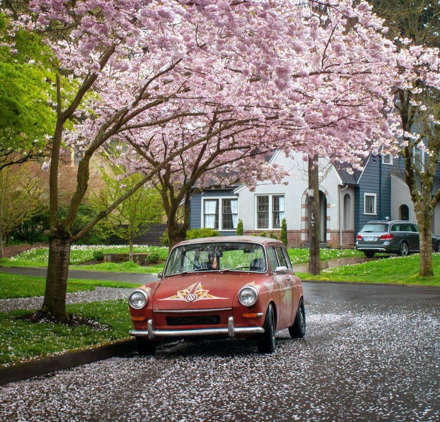 1967 Volkswagen Type 3