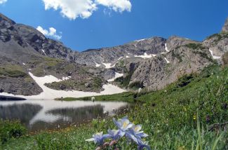 Modeno Lake wild flowers